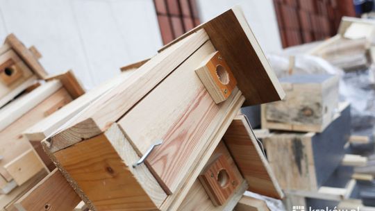 Budki lęgowe na walentynki! W tym roku na Alei Róż i Rynku Podgórskim w Krakowie Budki lęgowe na walentynki! W tym roku na Alei Róż i Rynku Podgórskim w Krakowie