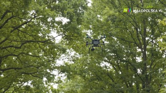 Drony w pracy leśników