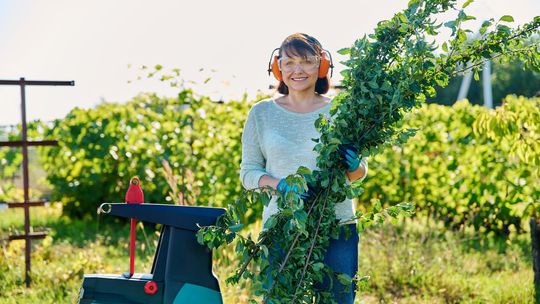 Jaki sprzęt ogrodniczy wybrać, aby sprawdził się cały rok?