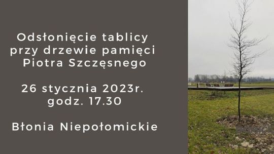 Niepołomice. Drzewo pamięci