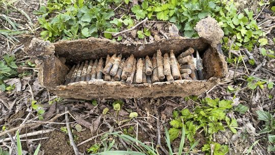 Niewybuchy z czasów wojny ujawnione podczas prac w sadzie