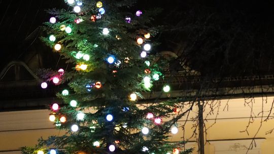 Po raz 19. rozbłysła Choinka pod Oknem Papieskim. Po raz pierwszy rozświetlił ją kard. Grzegorz Ryś