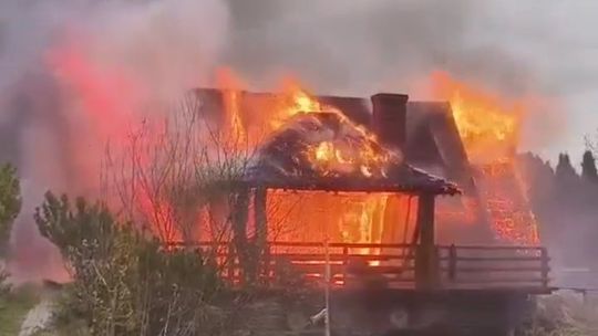 Pożar budynku letniskowego w Tenczynie. Trwa akcja strażaków