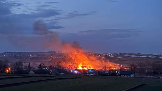 Pożar traw w Węgrzynowicach– strażacy prowadzą akcję gaśniczą przy zabudowaniach Pożar traw w Węgrzynowicach– strażacy prowadzą akcję gaśniczą przy zabudowaniach