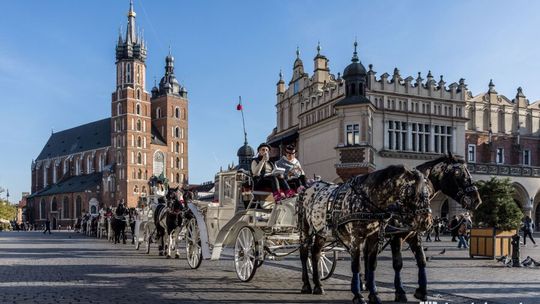 Prezydent Krakowa wypowiada umowę dorożkarzowi znęcającemu się nad koniem