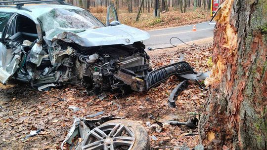 Skoda zderzyła się z drzewem w powiecie krakowskim. Dziecko trafiło do szpitala