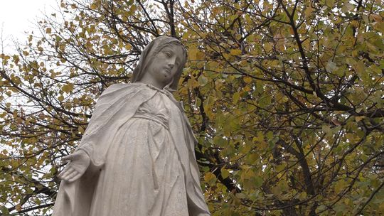 Śladami dawnych wieliczan. Jak Klub Przyjaciół Wieliczki dba o zabytkowy cmentarz