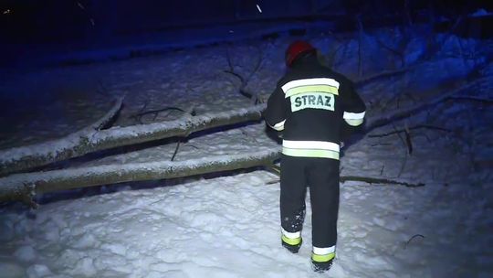 Śliskie drogi, połamane drzewa, tysiące odbiorców bez prądu. Sobotni atak zimy w Polsce