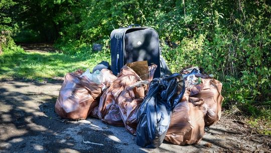 Bochnia. Uczniowie ZS nr 2 sprzątali Puszczę Niepołomicką