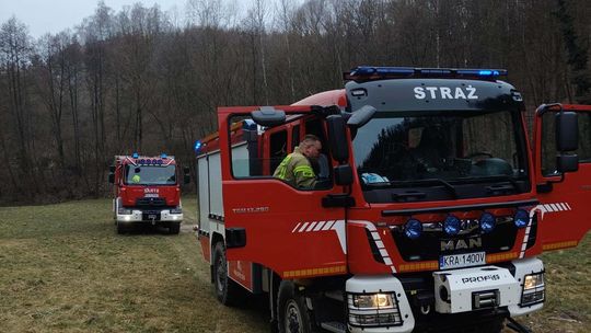 Upadek mężczyzny ze skały w dolinie Kobylańskiej w powiecie krakowskim