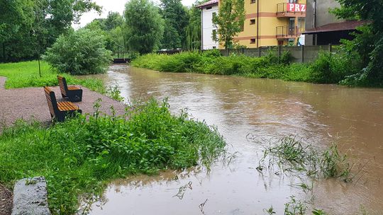 Wysoki stan wód w gminie Proszowice, liczne podtopienia