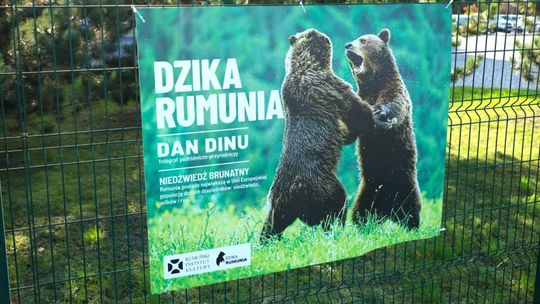 Wystawa „Dzika Rumunia” w Wieliczce