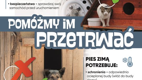 Zima to trudny czas dla zwierząt