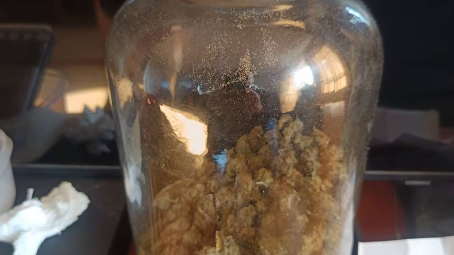 Kryminalni z Wieliczki zatrzymali osoby posiadające znaczne ilości narkotyków