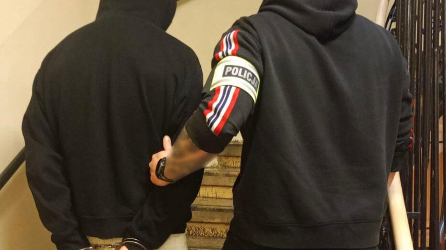 Policjanci zatrzymali podejrzewanego o okaleczenie królika. Mężczyźnie grozi nawet 3 lata więzienia