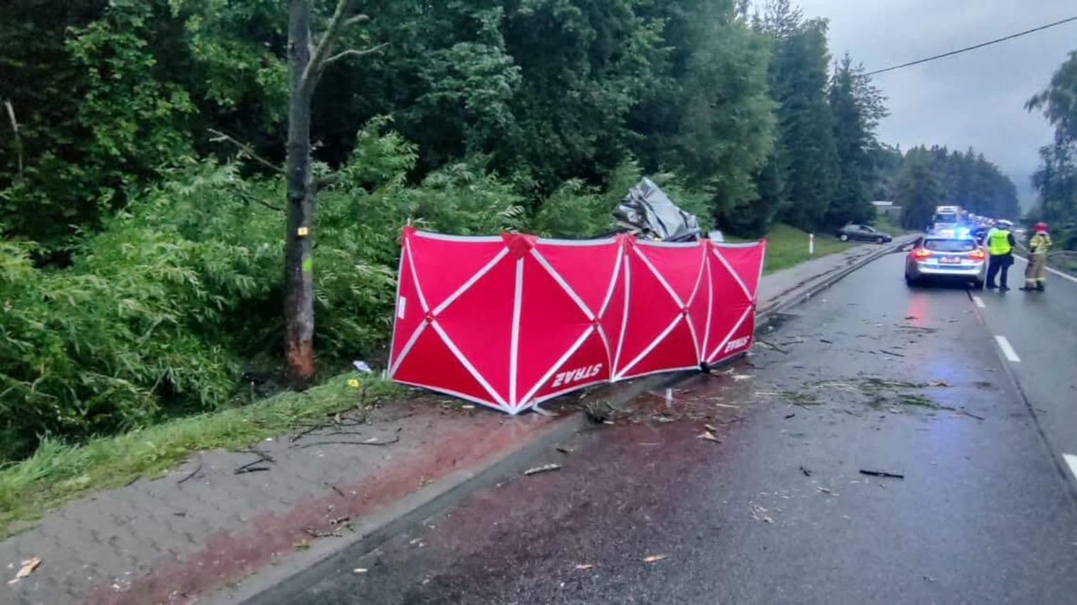 Tragiczny wypadek w Krośnicy. 76-letni kierowca zginął po zjechaniu z drogi