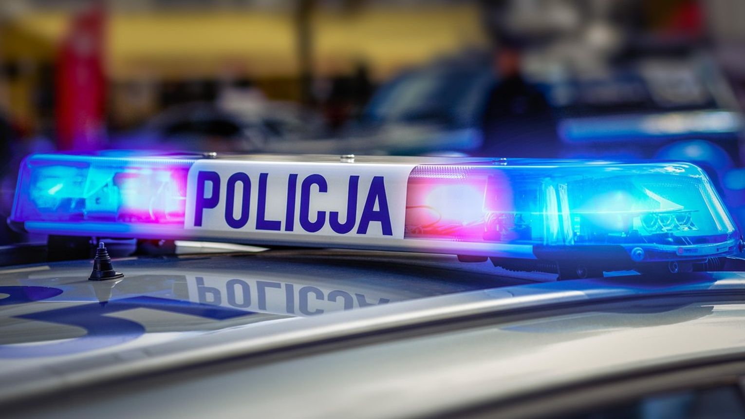 Wieliczka. 67 - letnia właścicielka psów usłyszała zarzuty znęcania się nad zwierzętami