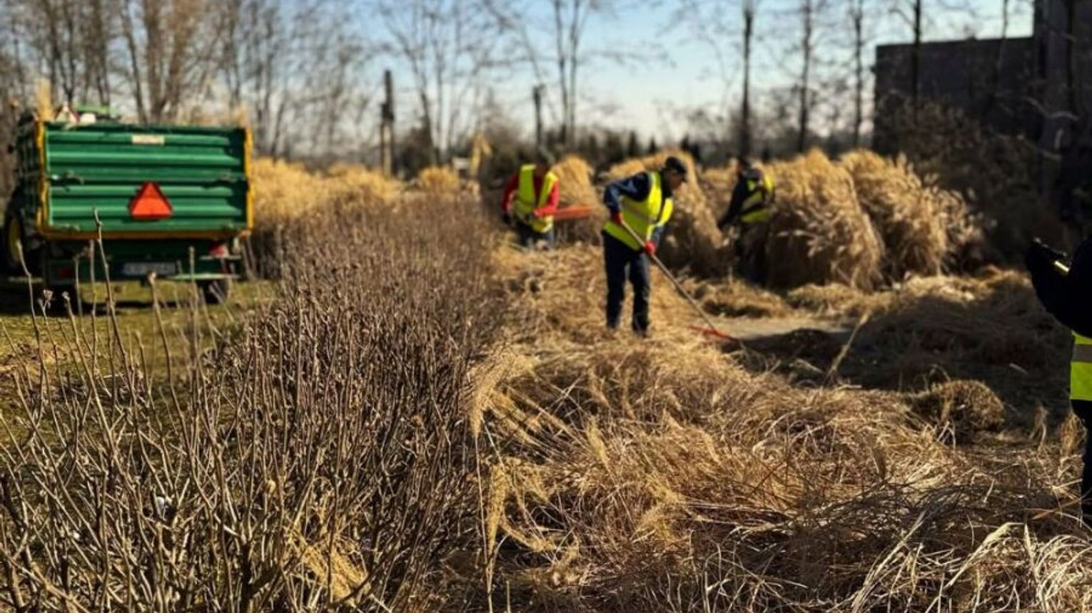 Wiosenne porządki w krakowskich parkach i zieleńcach