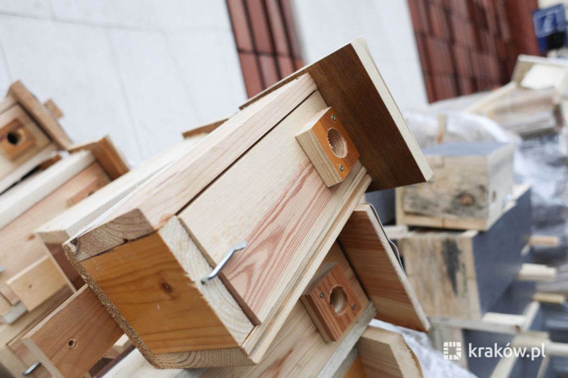 Budki lęgowe na walentynki! W tym roku na Alei Róż i Rynku Podgórskim w Krakowie