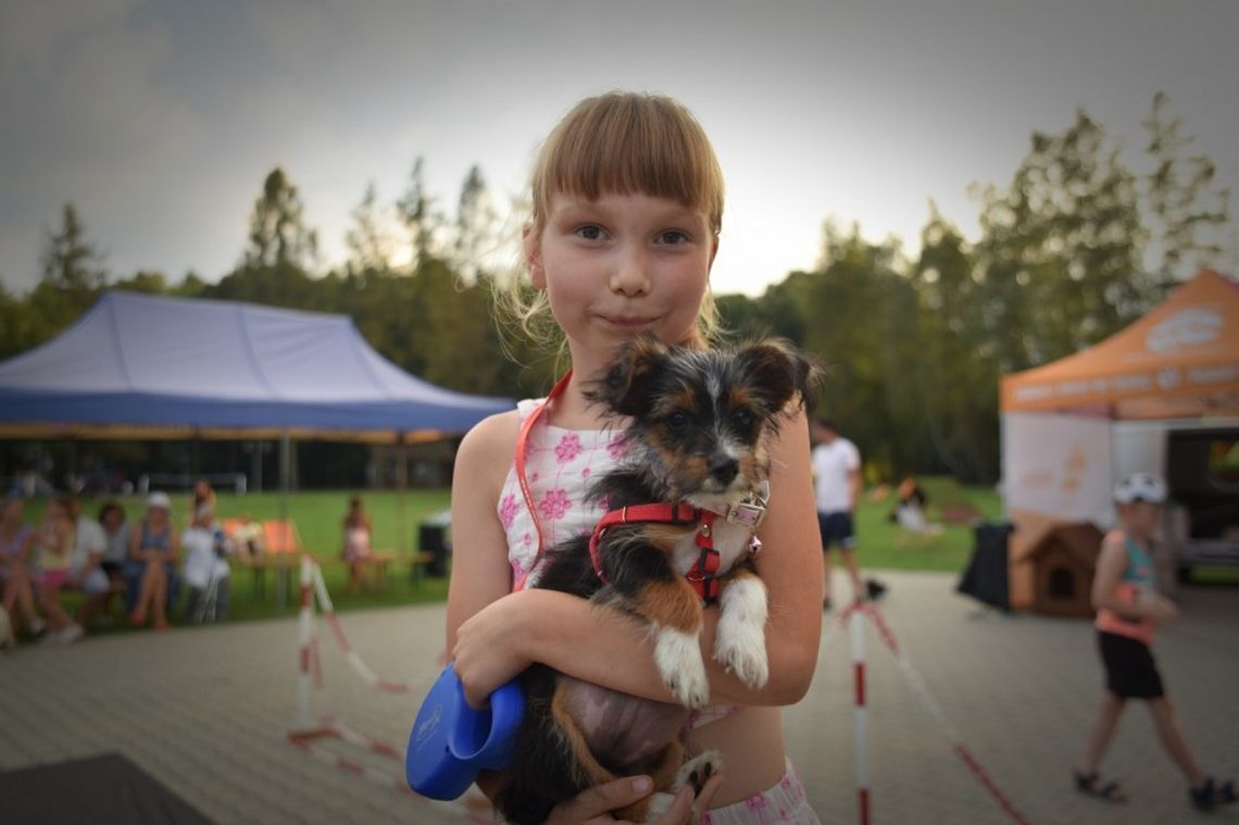 Gdów. Czwarte „Popołudnie z psiakiem” za nami