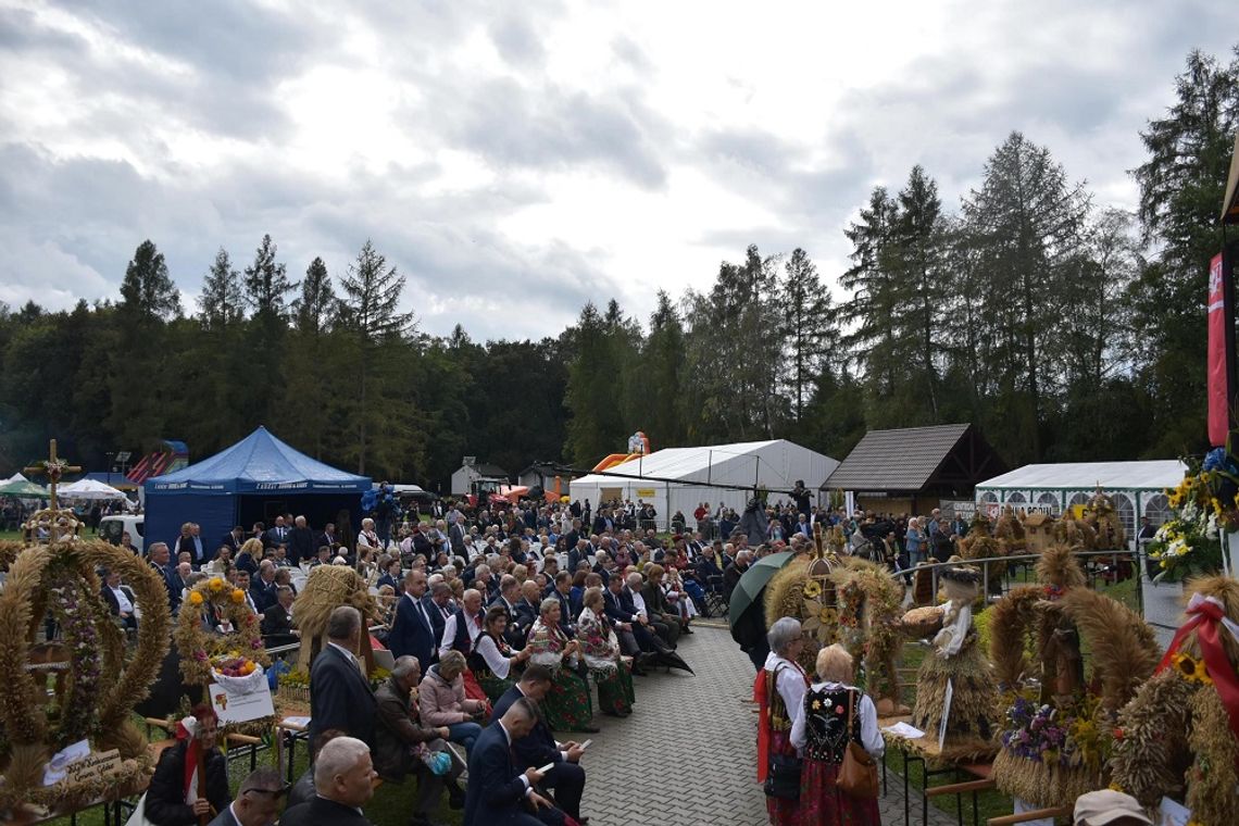 III FESTIWAL PODPŁOMYKA PLEBAŃSKIEGO ZA NAMI!