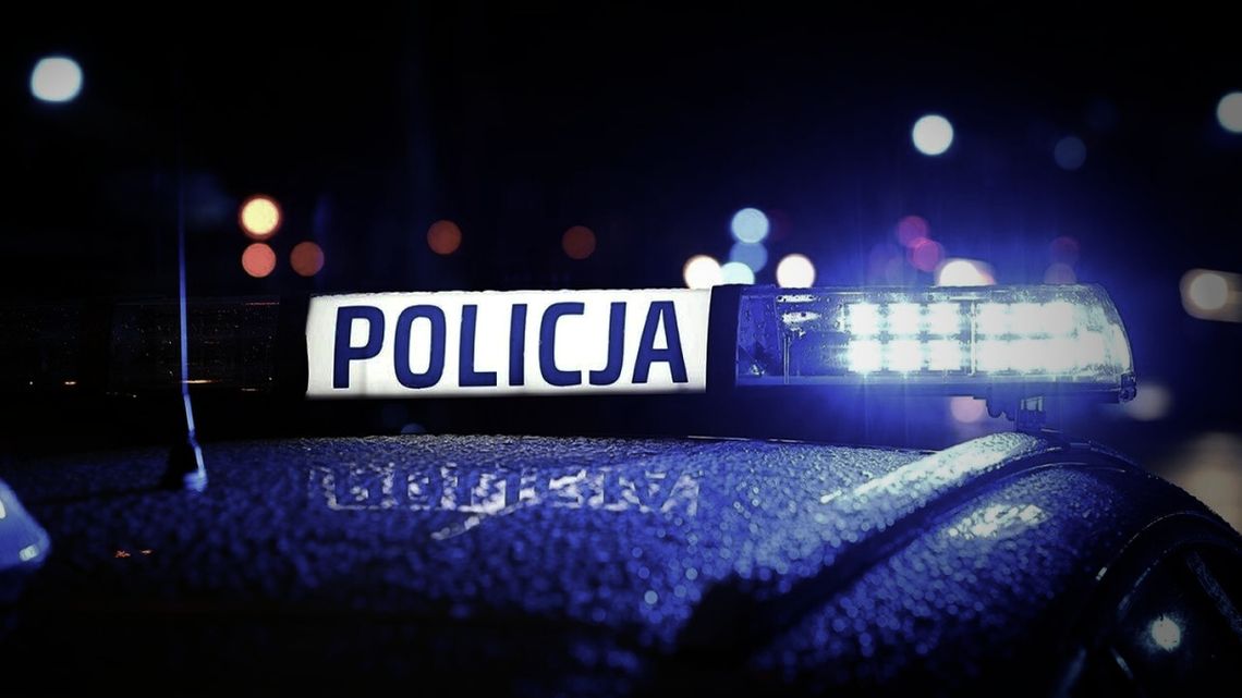 Kolizja ze stadem dzików w Bochni