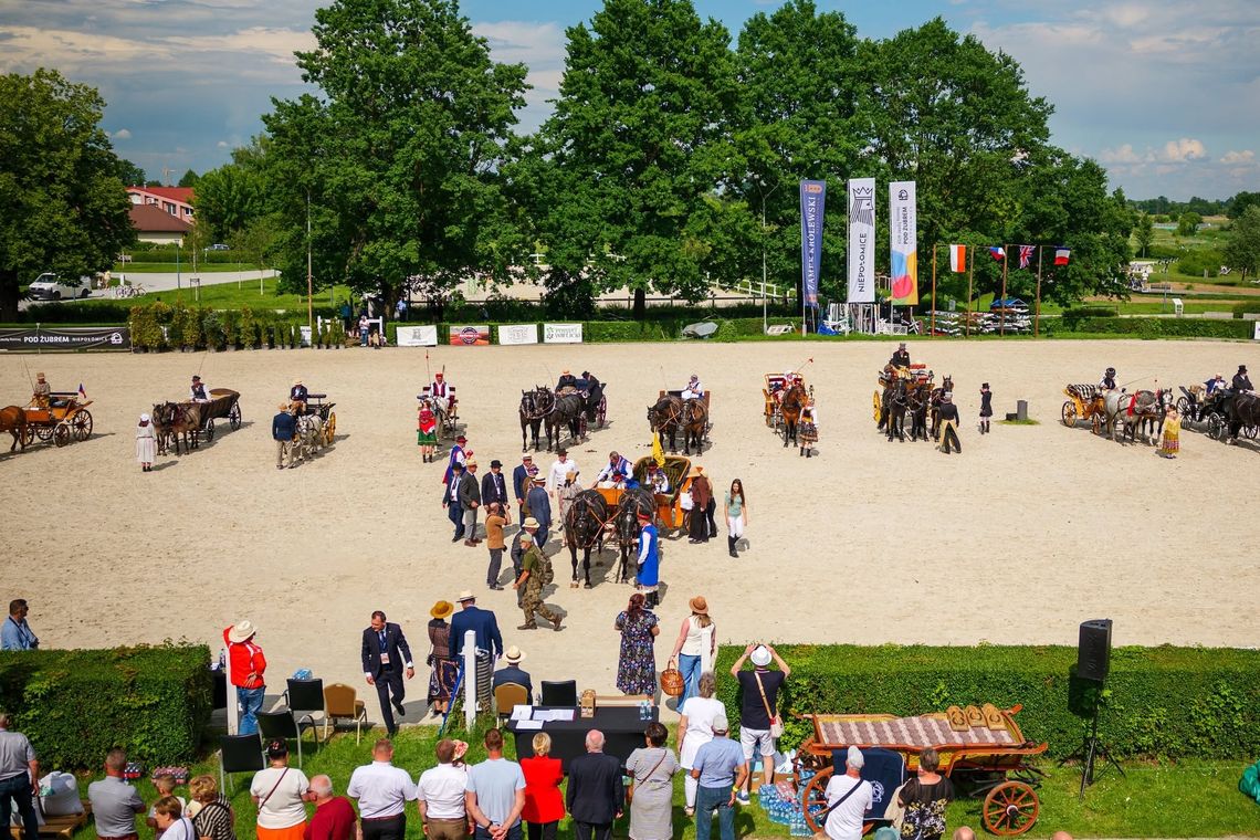Konie, elegancja i tradycja – Niepołomice przez weekend żyły powożeniem Konie, elegancja i tradycja – Niepołomice przez weekend żyły powożeniem