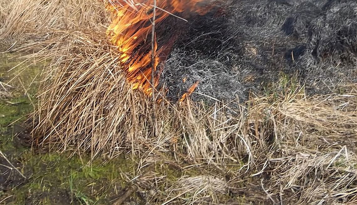 Nastolatek odpowie za podpalenia