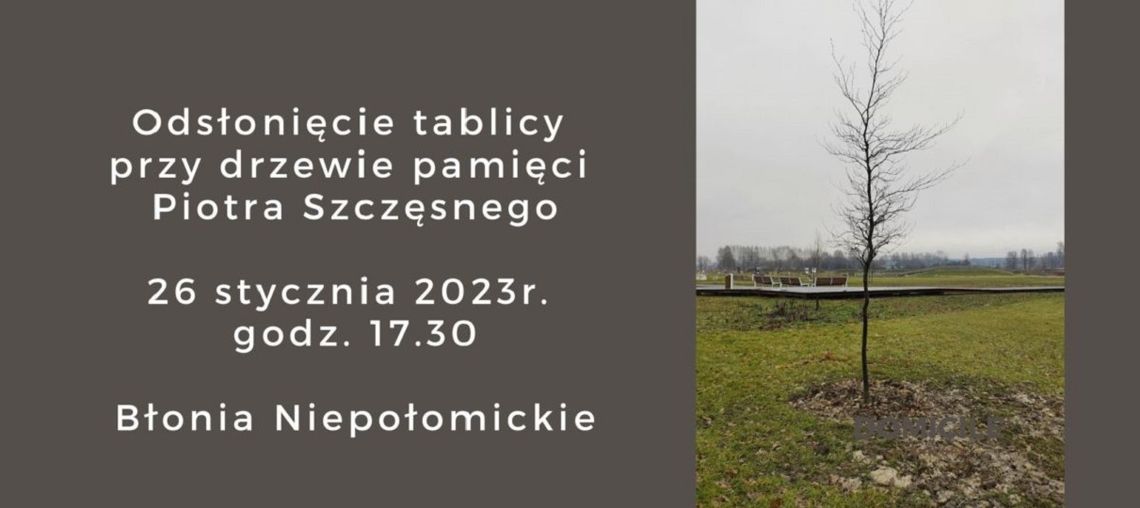 Niepołomice. Drzewo pamięci