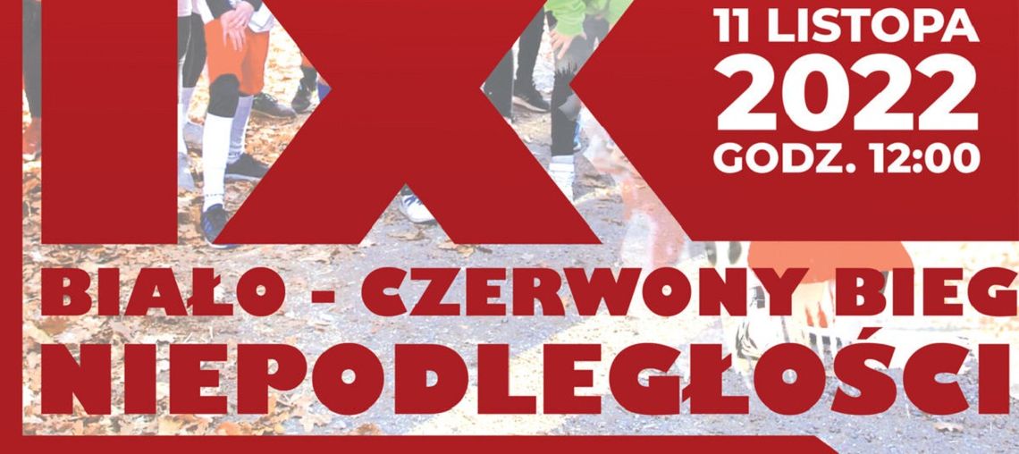 Niepołomice. IX Biało-Czerwony Bieg Niepodległości