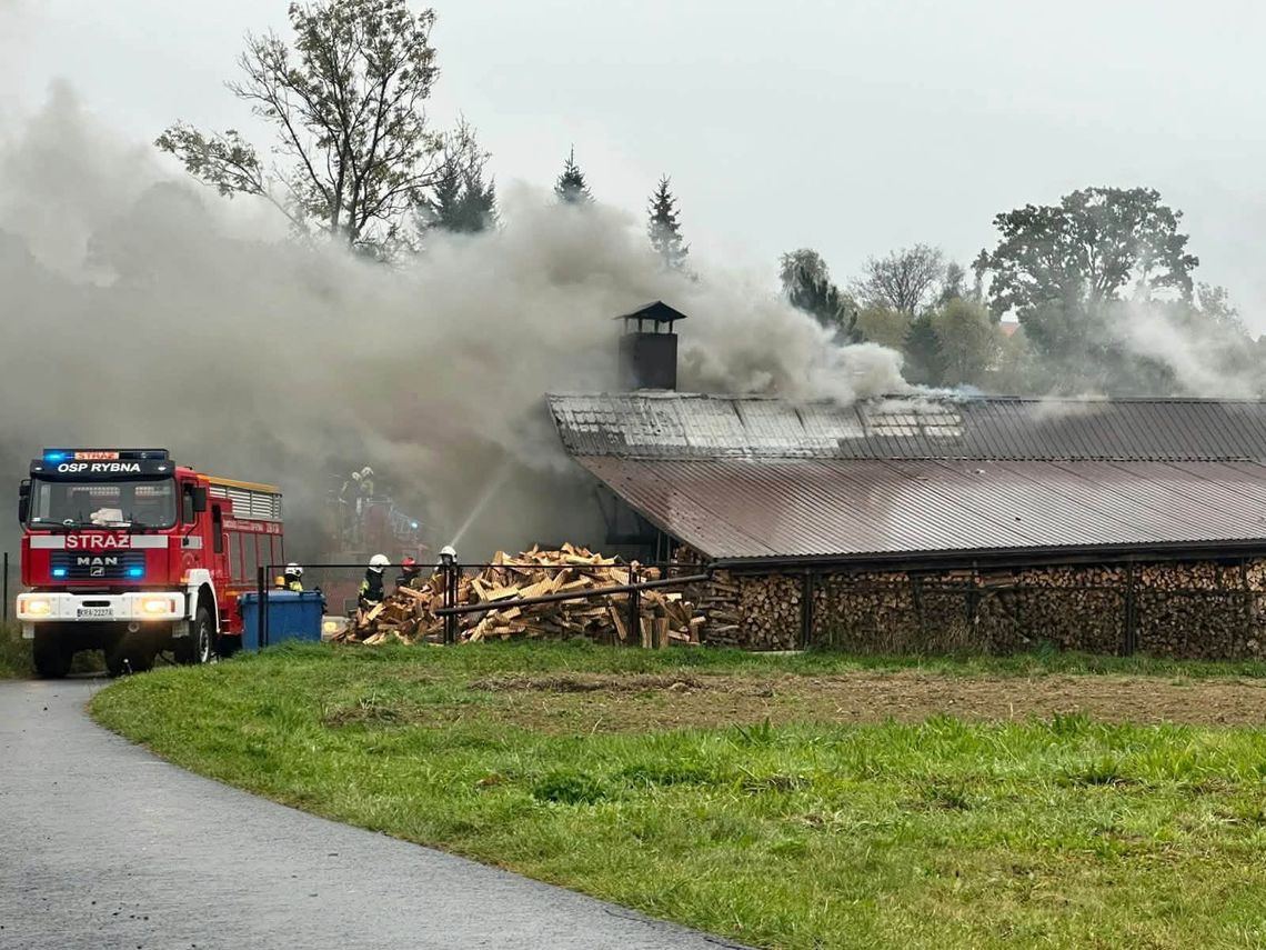 Pożar zakładu mięsnego pod Krakowem. Ogień objął dach budynku. Pożar zakładu mięsnego pod Krakowem. Ogień objął dach budynku.