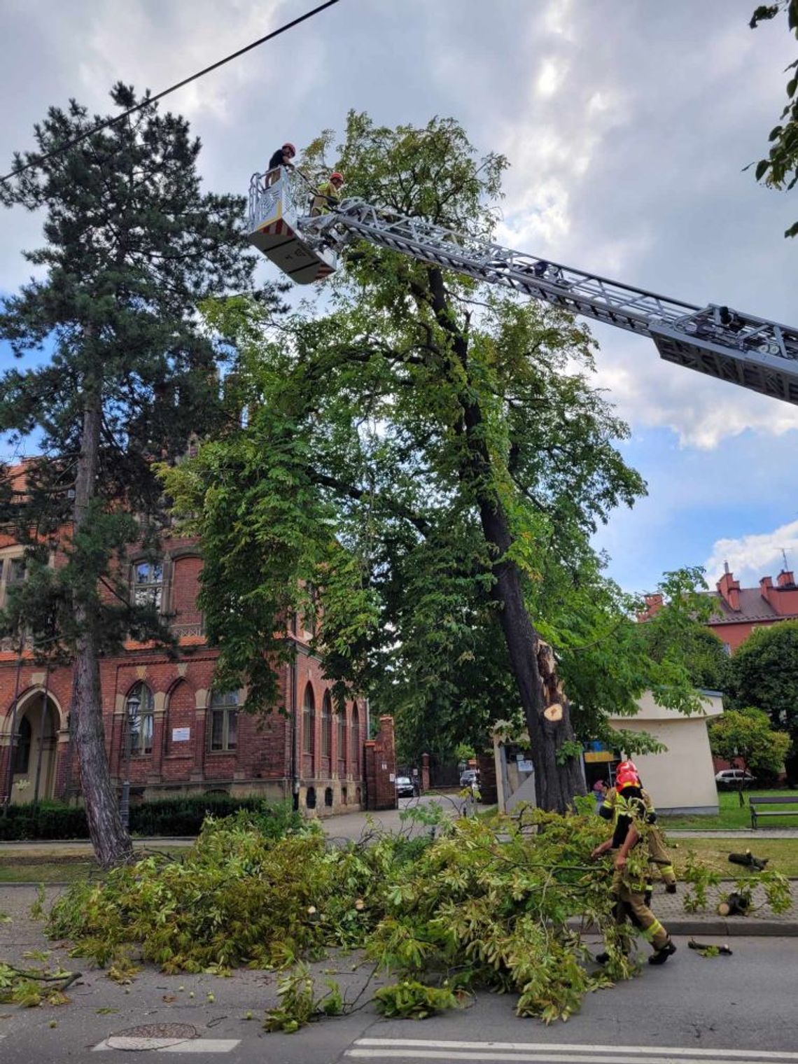 Wieliczka. Przecinka uszkodzonego drzewa przy Sztygarówce