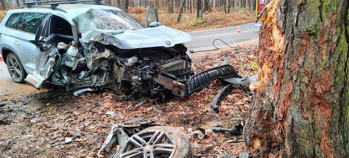 Skoda zderzyła się z drzewem w powiecie krakowskim. Dziecko trafiło do szpitala Skoda zderzyła się z drzewem w powiecie krakowskim. Dziecko trafiło do szpitala