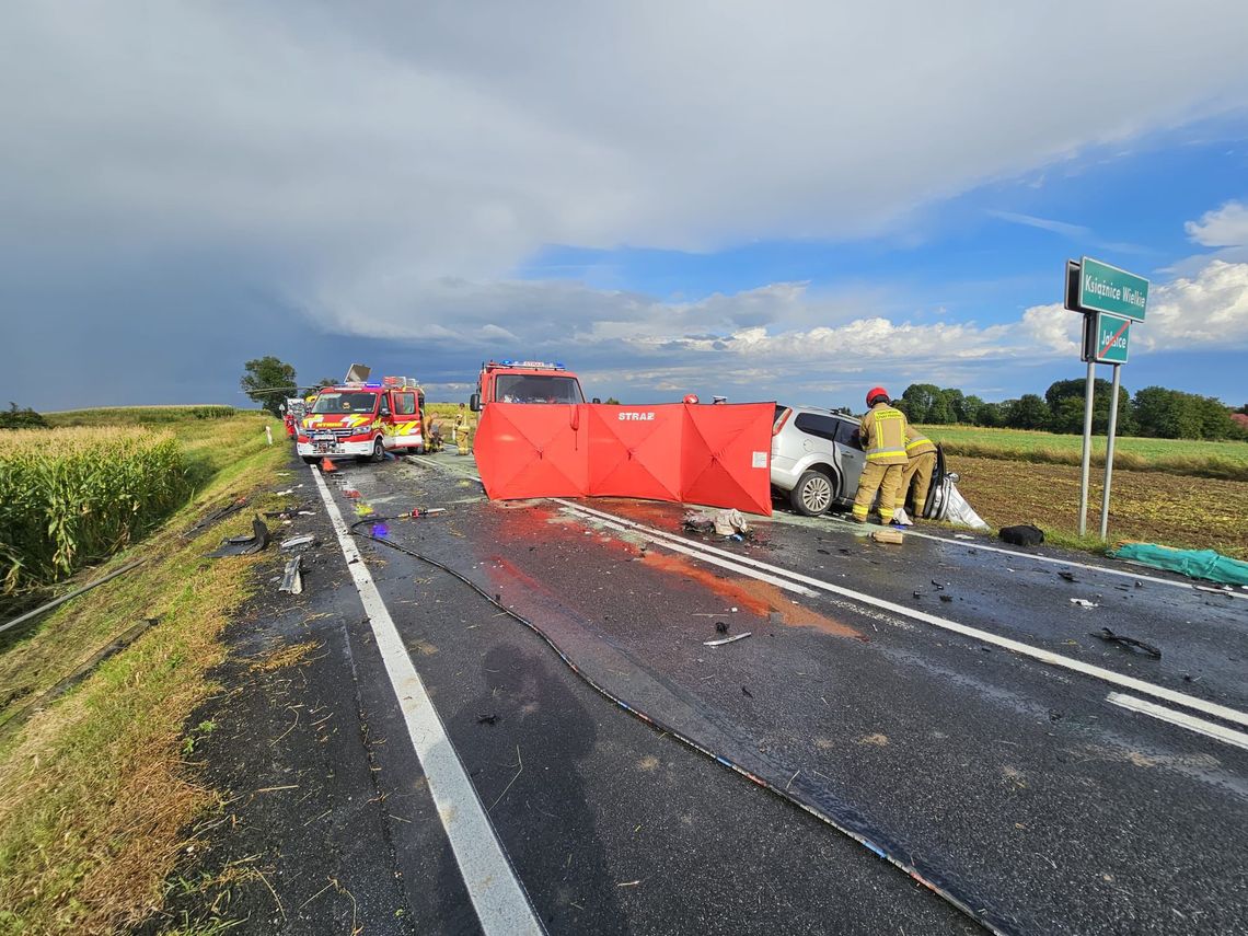 Tragiczny wypadek na DK79 w Książnicach Wielkich. Nie żyje około 60-letni kierowca osobówki