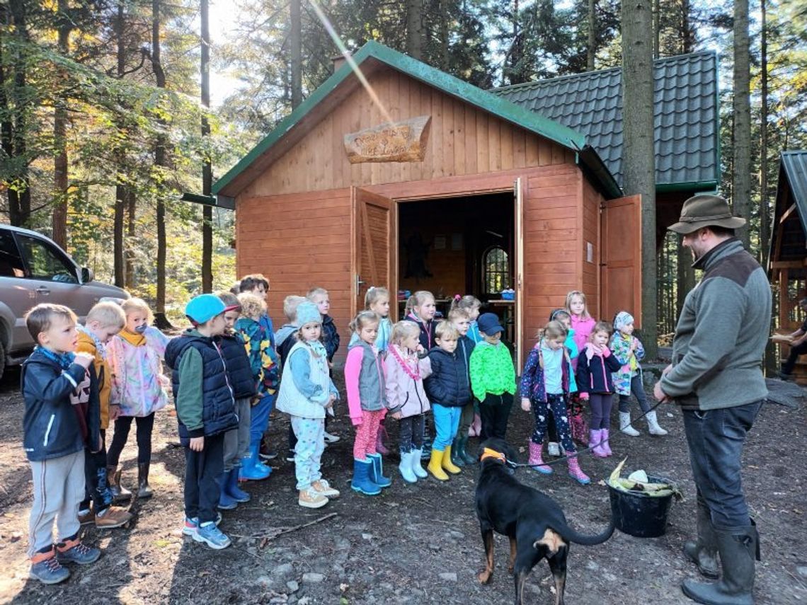 Tropy przedszkolaków z Kłaja prowadzą… do lasu w Kamionnej