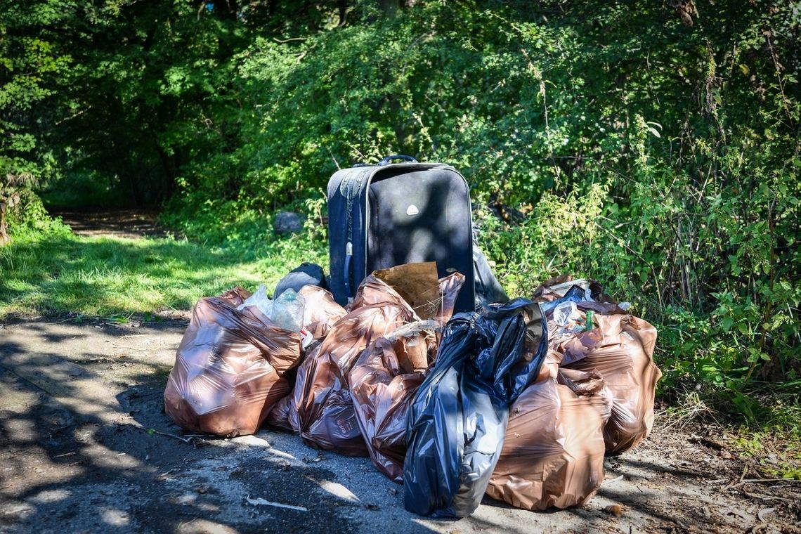 Bochnia. Uczniowie ZS nr 2 sprzątali Puszczę Niepołomicką