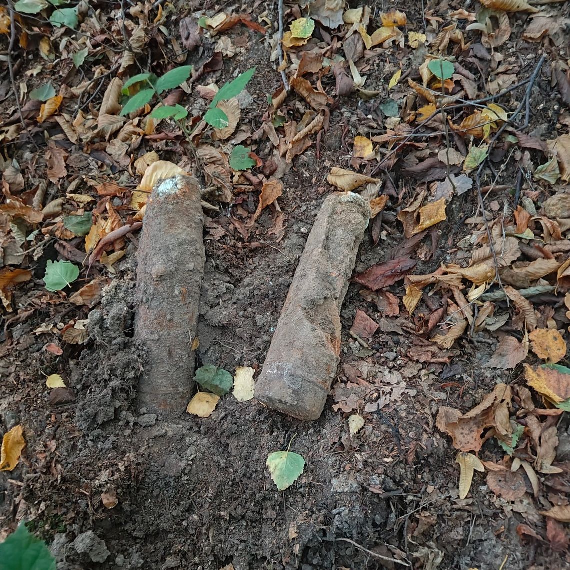 Wieliccy Policjanci zabezpieczyli znalezione niewybuchy