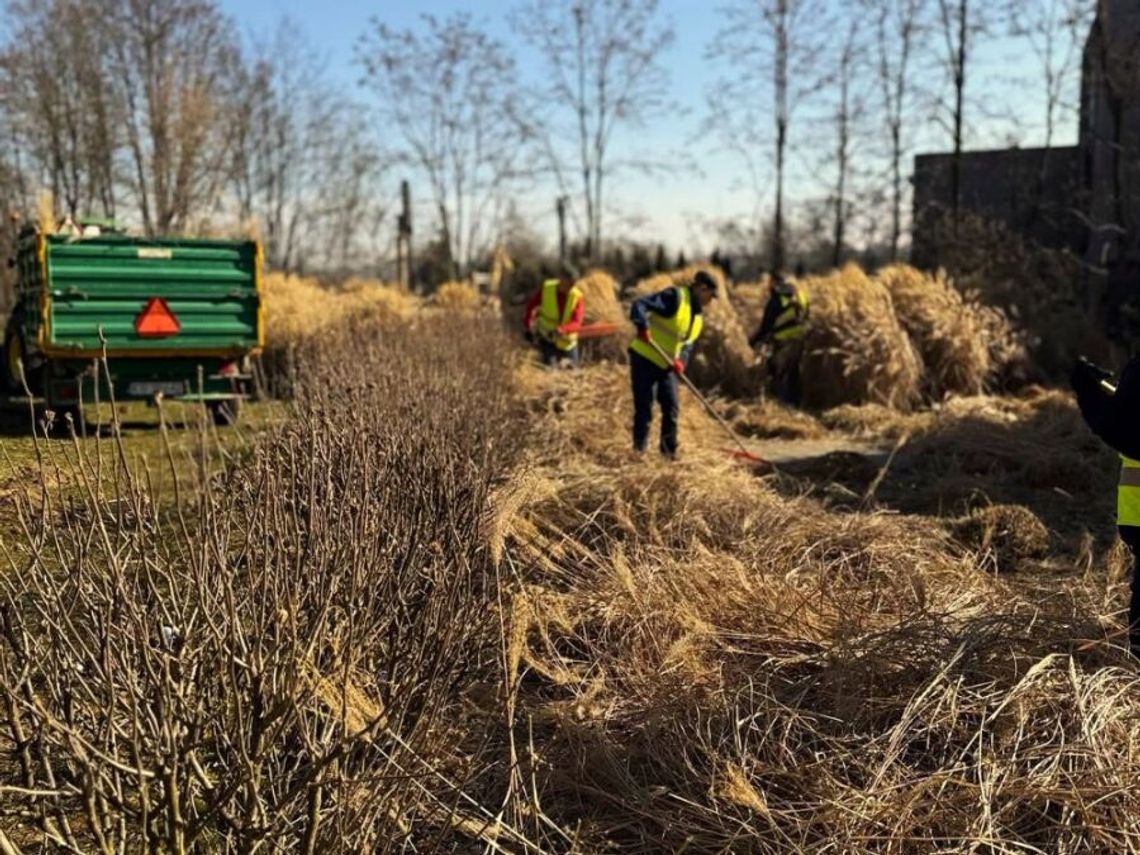 Wiosenne porządki w krakowskich parkach i zieleńcach
