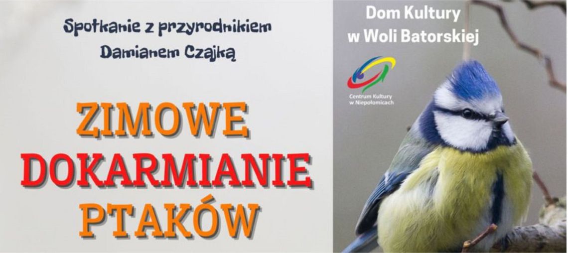 Wola Bartowska. Zimowe dokarmianie ptaków