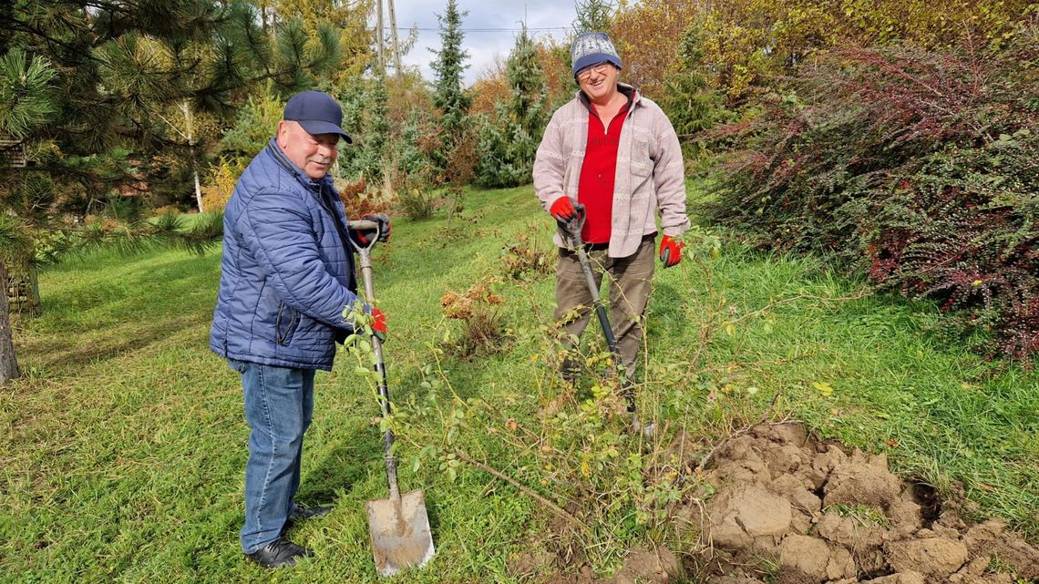 Wolontariat, który ma sens. Dołącz do lokalnej sieci dobra