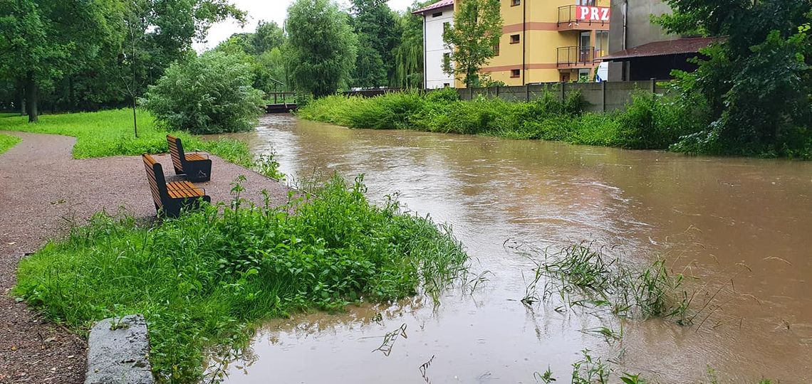 Wysoki stan wód w gminie Proszowice, liczne podtopienia