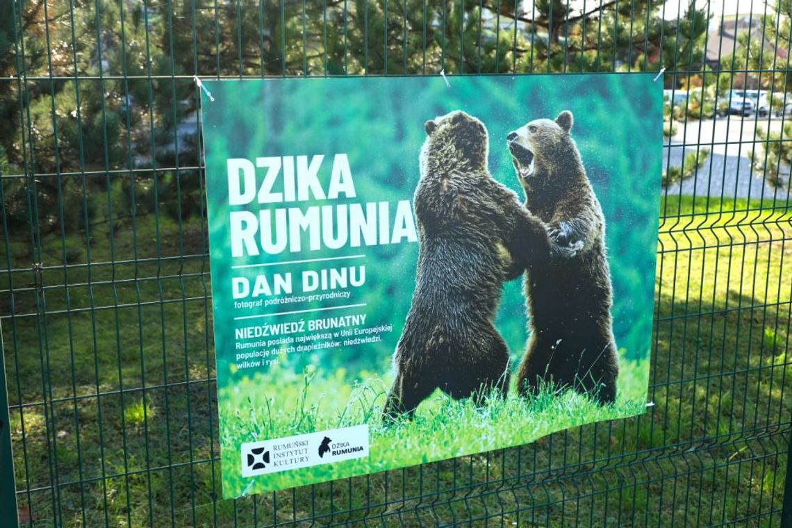 Wystawa „Dzika Rumunia” w Wieliczce