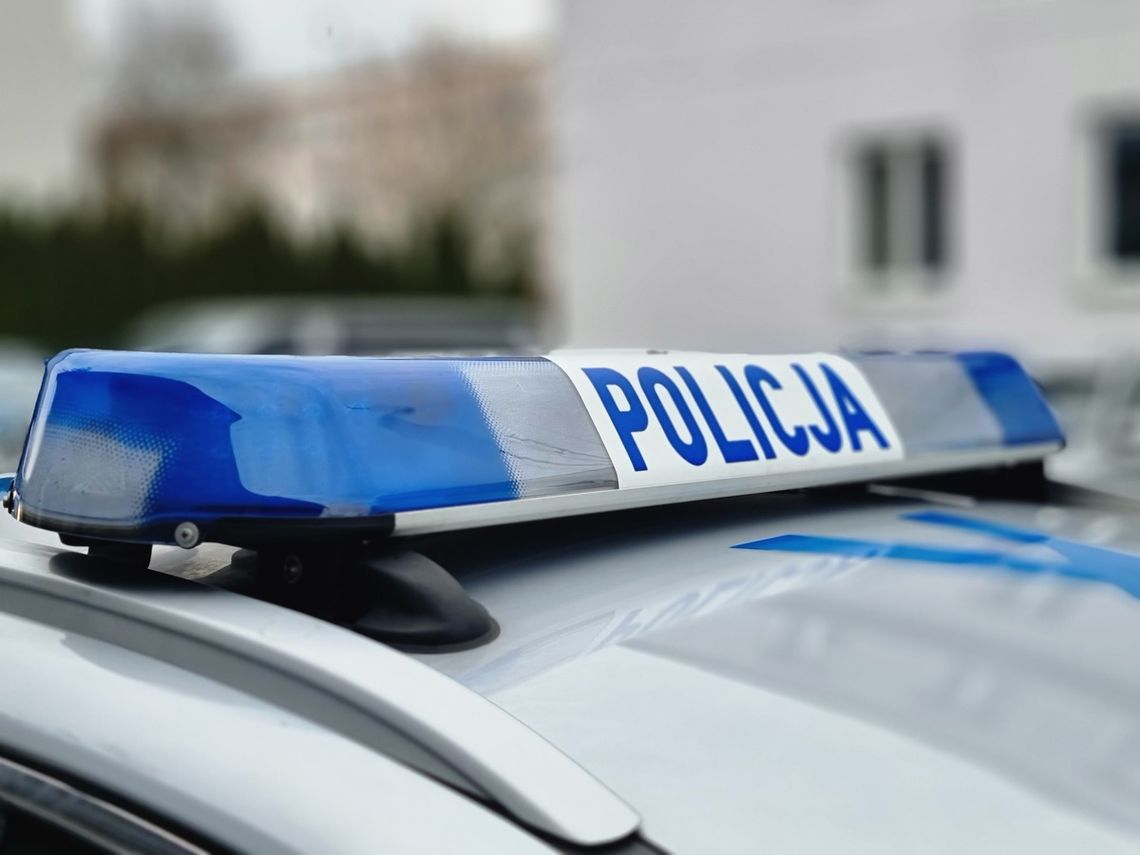 Znęcał się nad swoją partnerką - grozi mu deportacja