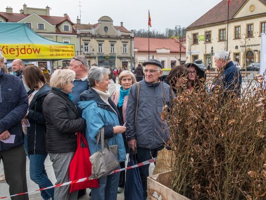 Drzewa za makulaturę - V Piknik Ekologiczny za nami Drzewa za makulaturę - V Piknik Ekologiczny za nami