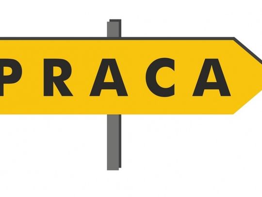 Praca: Dziennikarz Wielicka.tv